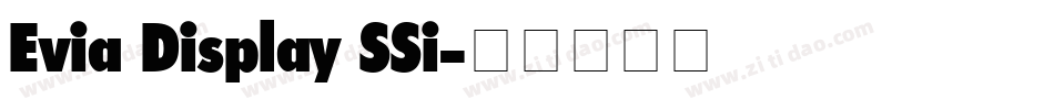 Evia Display SSi字体转换